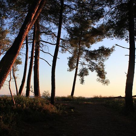 Акватика Hotel Pizunda Luaran gambar